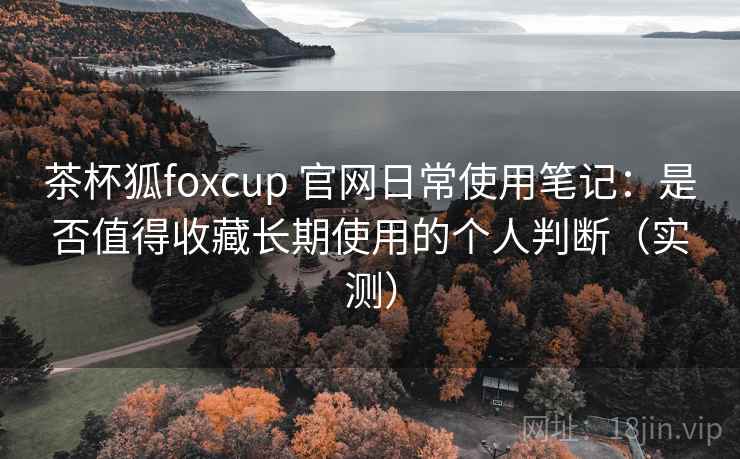 茶杯狐foxcup 官网日常使用笔记：是否值得收藏长期使用的个人判断（实测）