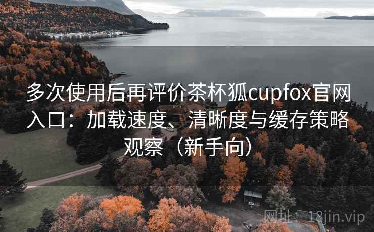 多次使用后再评价茶杯狐cupfox官网入口：加载速度、清晰度与缓存策略观察（新手向）