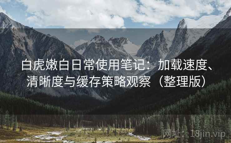 白虎嫩白日常使用笔记：加载速度、清晰度与缓存策略观察（整理版）