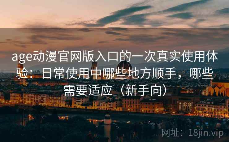 age动漫官网版入口的一次真实使用体验：日常使用中哪些地方顺手，哪些需要适应（新手向）