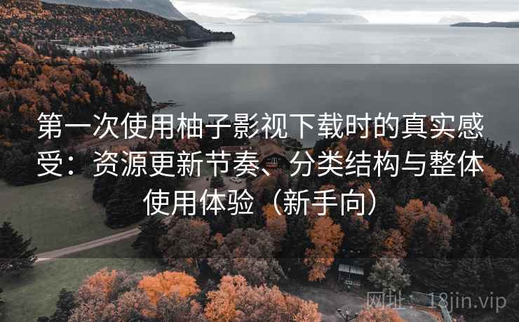第一次使用柚子影视下载时的真实感受：资源更新节奏、分类结构与整体使用体验（新手向）