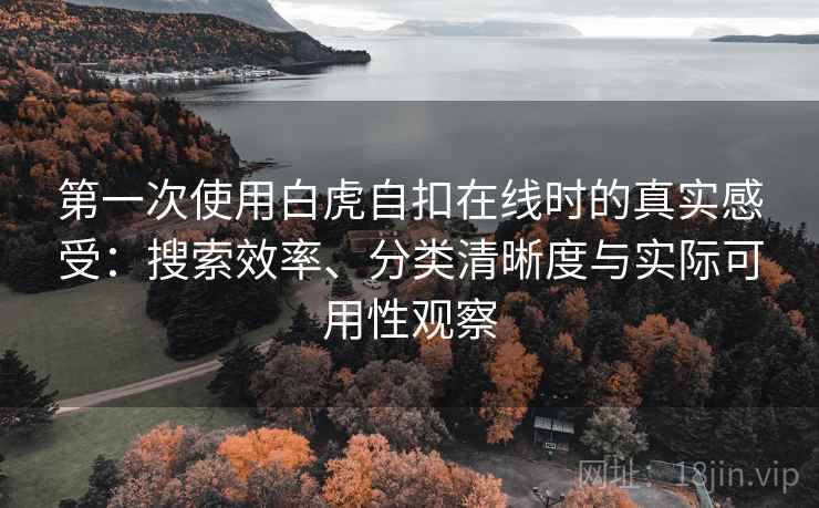 第一次使用白虎自扣在线时的真实感受：搜索效率、分类清晰度与实际可用性观察