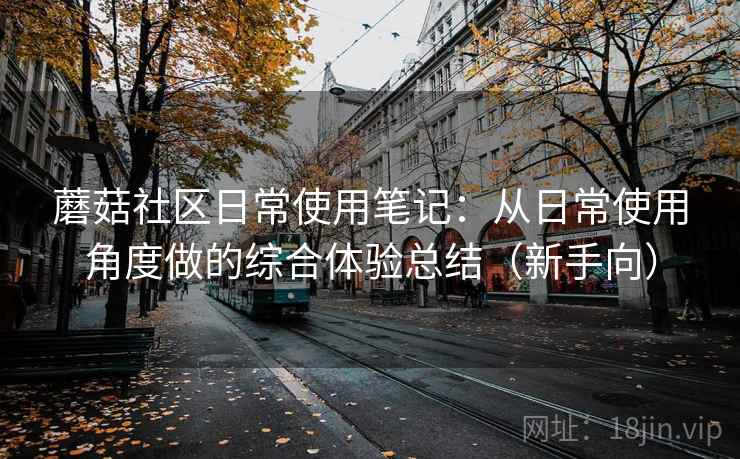 蘑菇社区日常使用笔记：从日常使用角度做的综合体验总结（新手向）