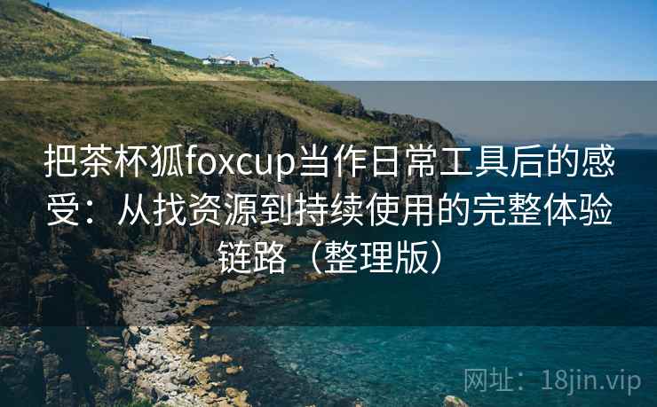 把茶杯狐foxcup当作日常工具后的感受：从找资源到持续使用的完整体验链路（整理版）